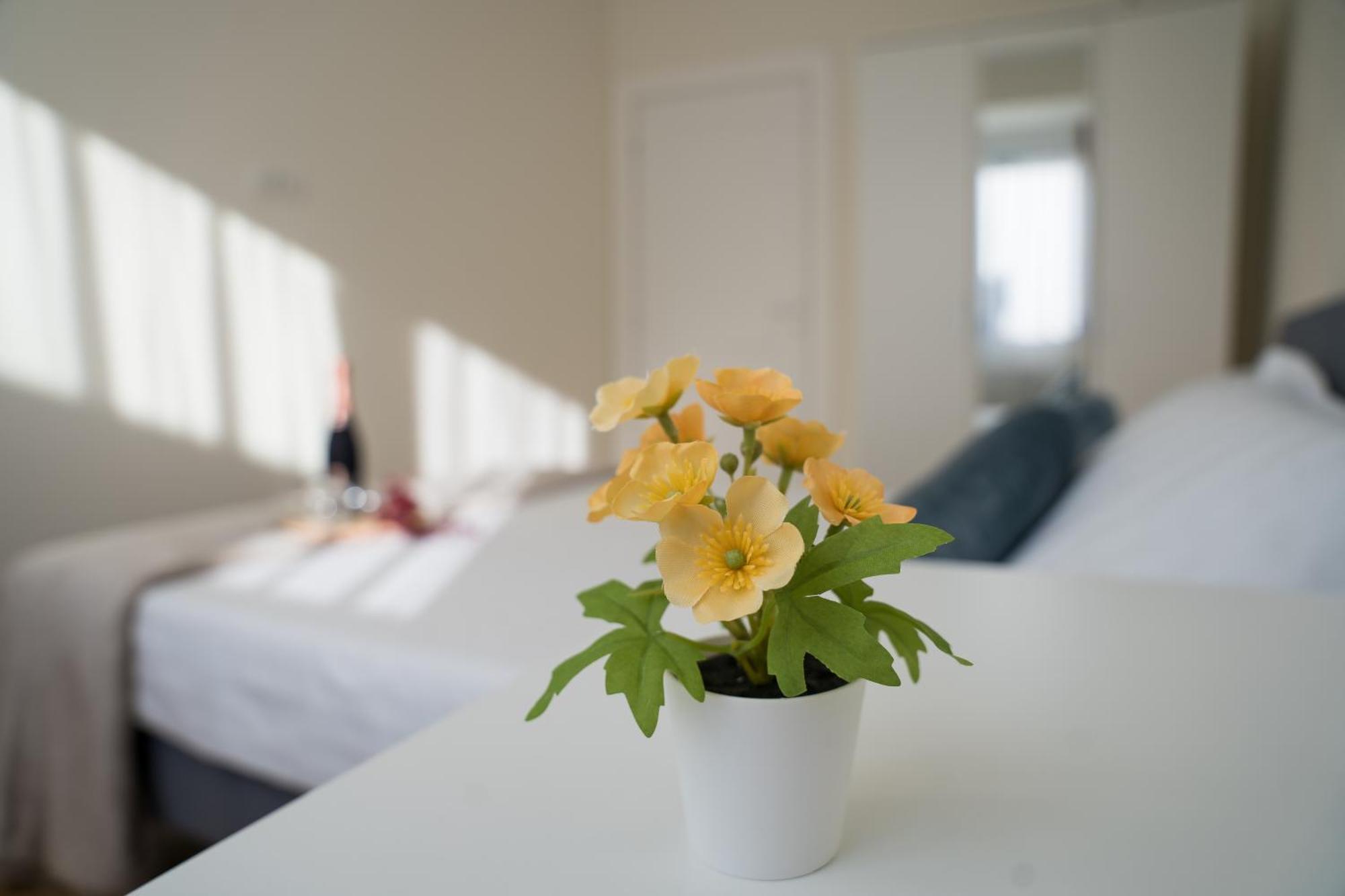 Azaleea Apartments Bukarest Eksteriør billede